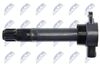 ECZ-MS-019_3-WM.JPG