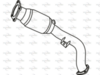 P8194CAT_1.PNG