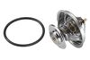 Термостат, охлаждающая жидкость BorgWarner (Wahler) 4105.79D (E2858853560D9)