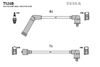T524B.BMP