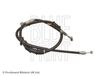 ADC44671_1.JPG