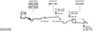 SYS11379.JPG