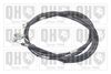 QH_BC4015.JPG