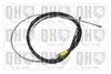 QH_BC4256.JPG