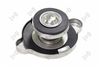 капачка, радиатор