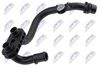 cpp-vw-041_1-wm.JPG