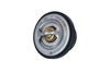 Termostat, chladivo 725216