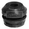 BEM3106_209965.JPG