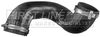 FTH1624_222684.JPG