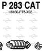 P283CAT.JPG
