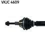 VKJC 4609_2.JPG