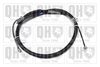 QH_BC3433.JPG