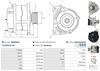 A0255(SEG)_256960.JPG