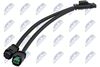 CTM-PE-009_2-WM.JPG