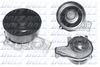 B257.BMP