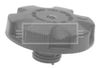 BRC125_185824.JPG
