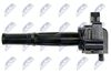 ECZ-TY-017_3-WM.JPG