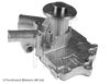 ADN19155_2.JPG