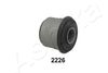 GOM-2226_1.JPG