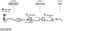 SYS13018.JPG