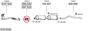 SYS12436.JPG
