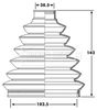 BCB6181_292333.JPG