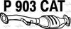P903CAT.JPG