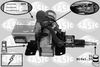 7276003.JPG