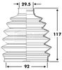 BCB6107_292151.JPG