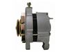 AG0291RB.JPG
