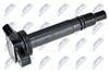 ECZ-TY-013_1-WM.JPG