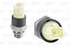 SENSOR_OIL_PRESSURE_255103_01.JPG