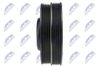 RKP-MS-007_3-WM.JPG