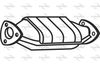 P9203CAT.JPG