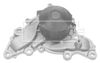 BWP1687_187546.JPG