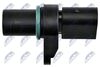 ECP-BM-006_3-WM.JPG