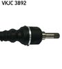 VKJC 3892_3.JPG