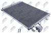 CCS-HY-046_2-WM.JPG