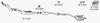 M263.BMP