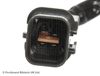 ADC47026_2.JPG