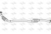 P9628CAT.JPG