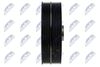 RKP-FT-016_3-WM.JPG