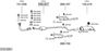 SYS10081.JPG