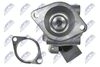 EGR-CT-005_5-WM.JPG