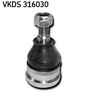 VKDS 316030.JPG