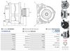 A01283(SEG)_256960.JPG