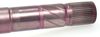 24947_305196D.JPG