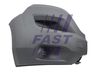 FT91007G_1_1.JPG