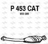P453CAT.JPG