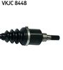 VKJC 8448_3.JPG